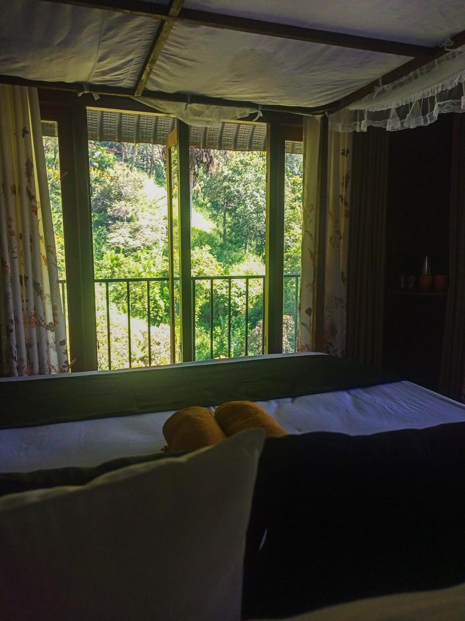 Creek Downhills Bed & Breakfast Ела Екстериор снимка