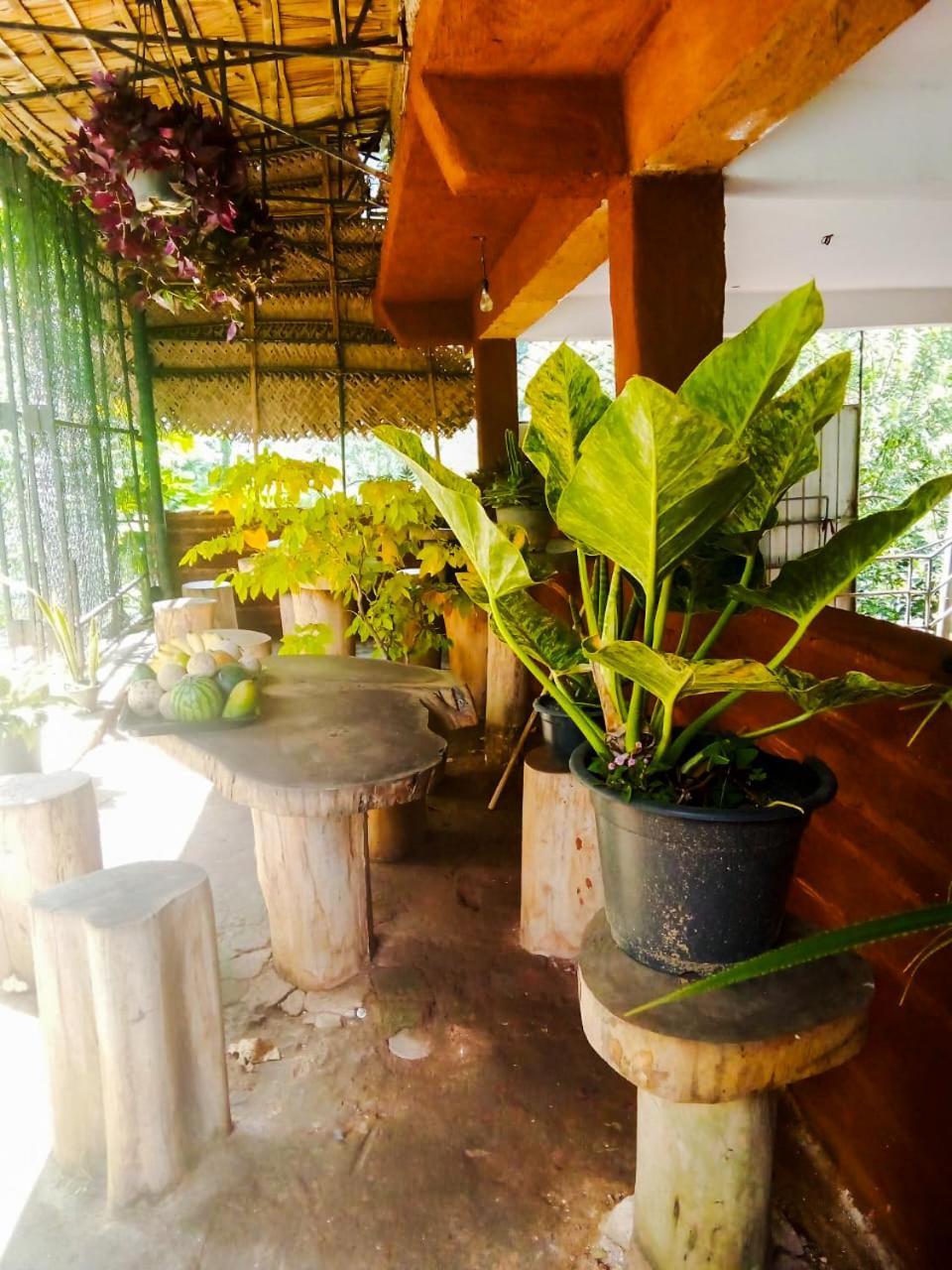 Creek Downhills Bed & Breakfast Ела Екстериор снимка