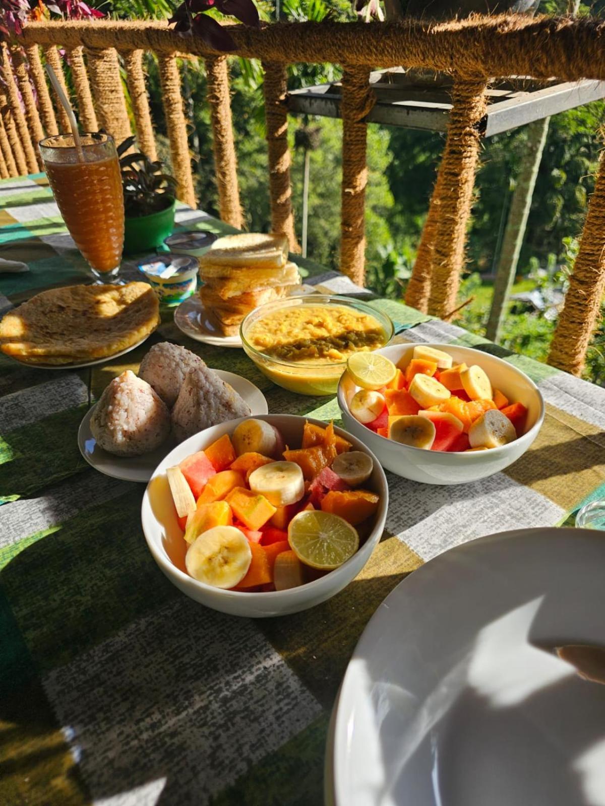 Creek Downhills Bed & Breakfast Ела Екстериор снимка