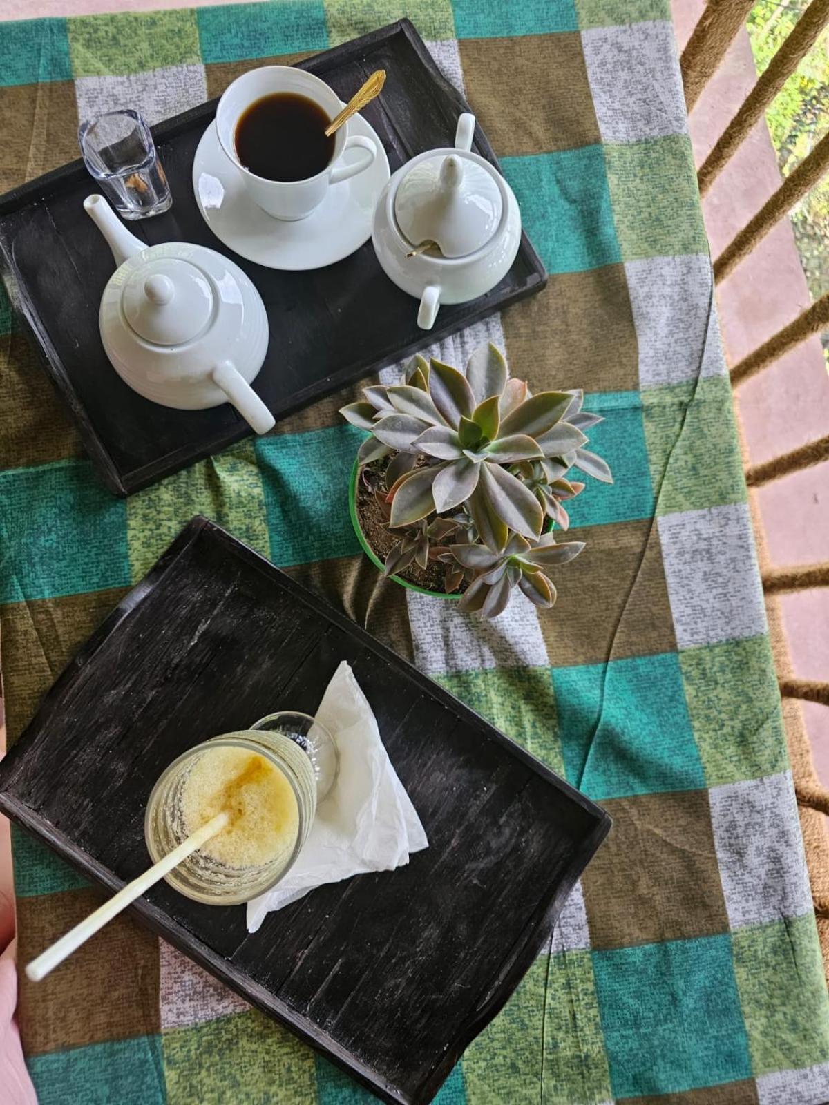Creek Downhills Bed & Breakfast Ела Екстериор снимка